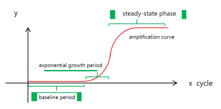  Fig5：steady-state phase