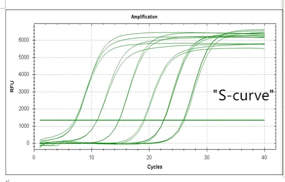 amplification curve