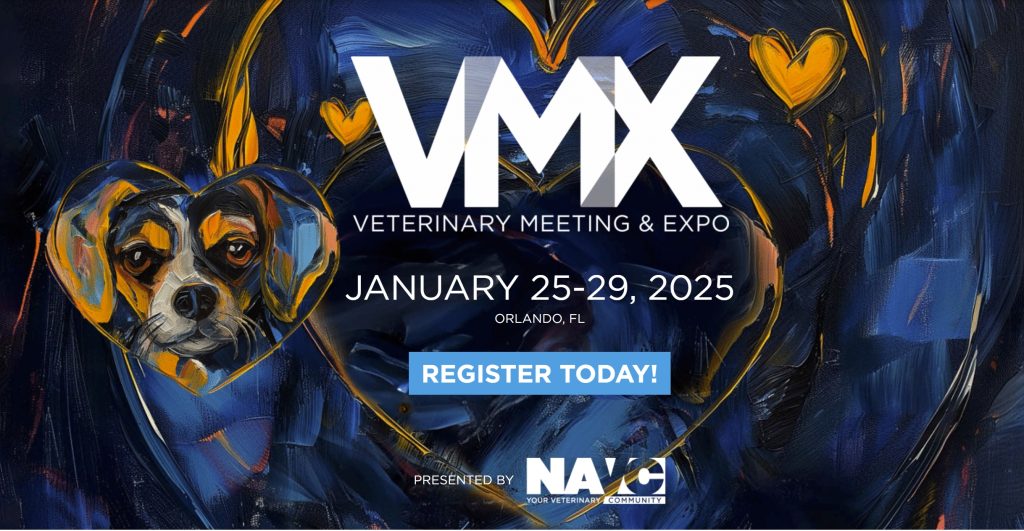 VMX 2025: Festival of the HeARTS