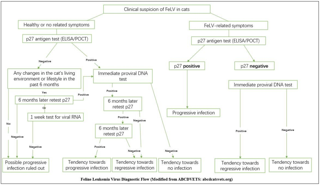 Common Diagnostic Process