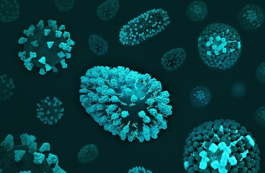 Animal Viruses