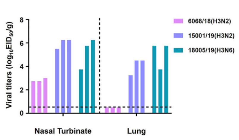 Figure caption：Viral replication levels of influenza viruses at various collected tissue sites